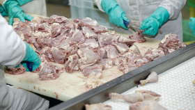 Путин потребовал подготовить меры по увеличению производства мяса птицы
